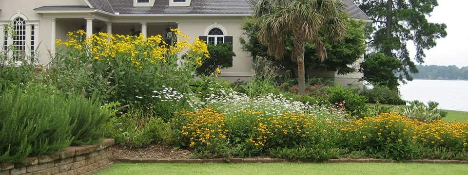 Completed tree service and landscaping projects in Columbia SC